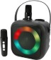 Soundmaster Karaoke-System BT2024SW mit Bluetooth, schwarz